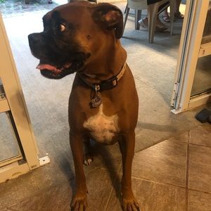 Meet your Posher, Edwin